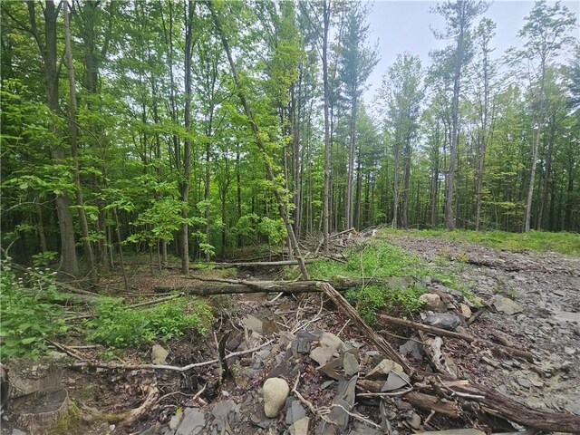 2049 State Route 245, Italy, NY 14512