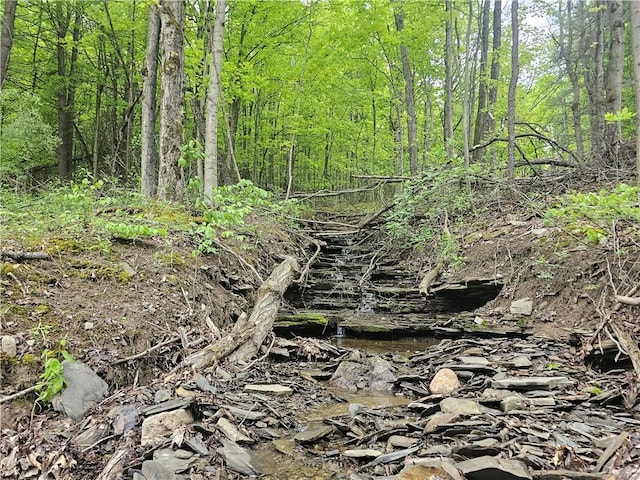 2049 State Route 245, Italy, NY 14512