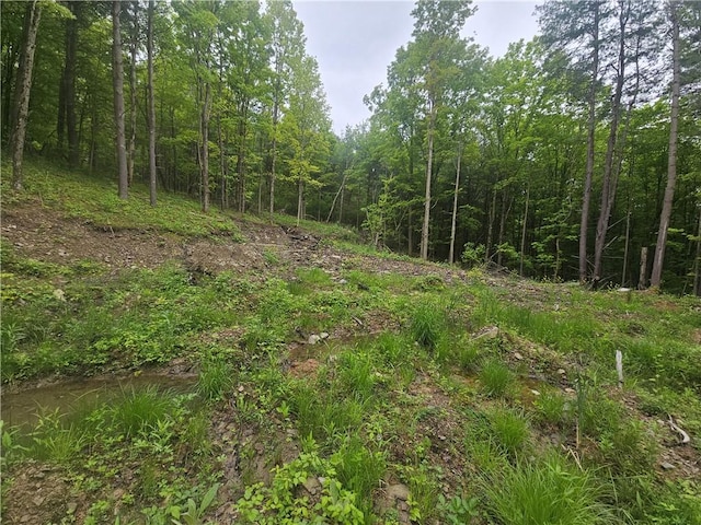 2049 State Route 245, Italy, NY 14512