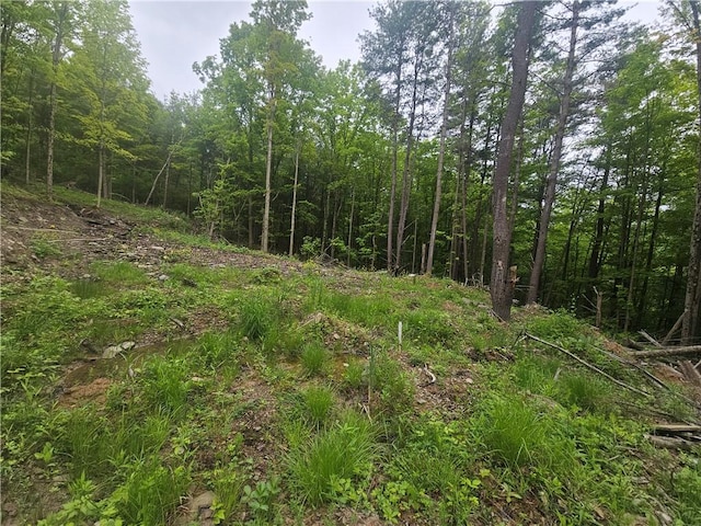 2049 State Route 245, Italy, NY 14512