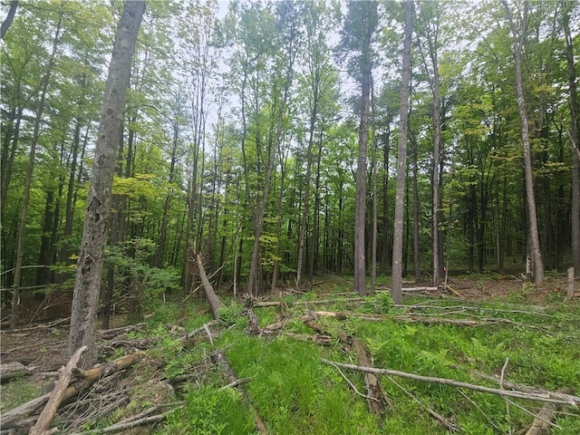 2049 State Route 245, Italy, NY 14512