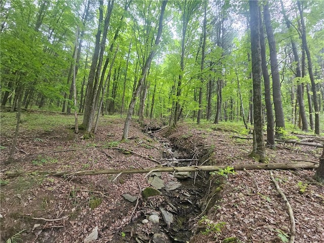 2049 State Route 245, Italy, NY 14512