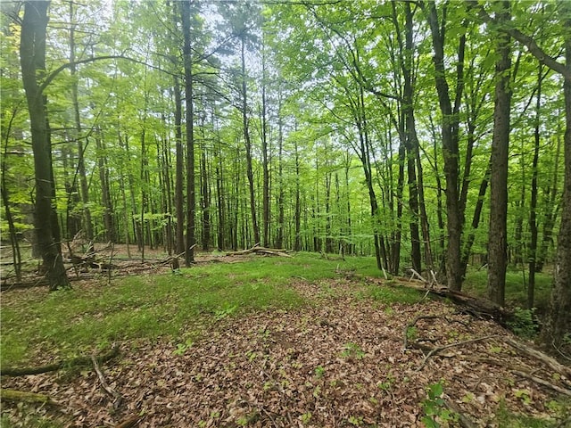 2049 State Route 245, Italy, NY 14512