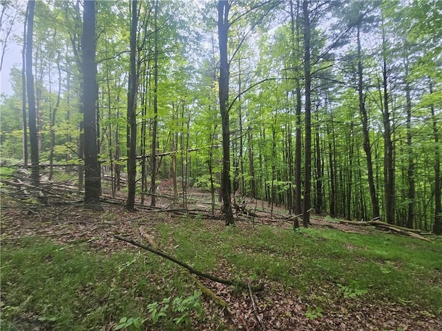 2049 State Route 245, Italy, NY 14512