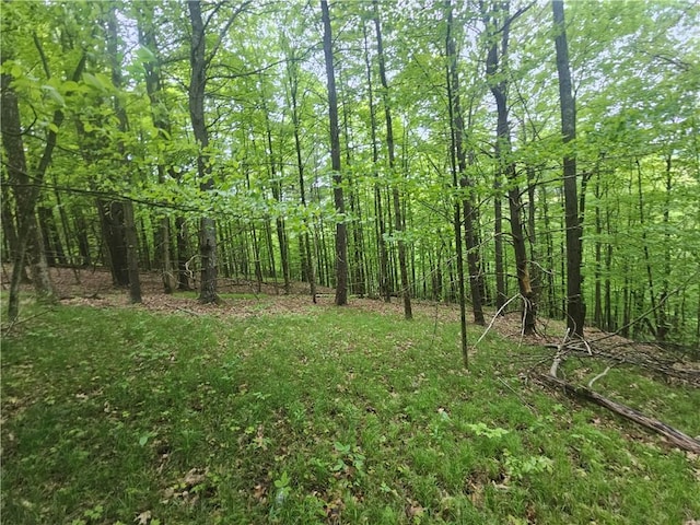 2049 State Route 245, Italy, NY 14512