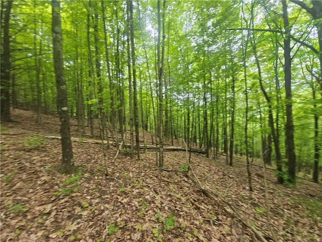 2049 State Route 245, Italy, NY 14512