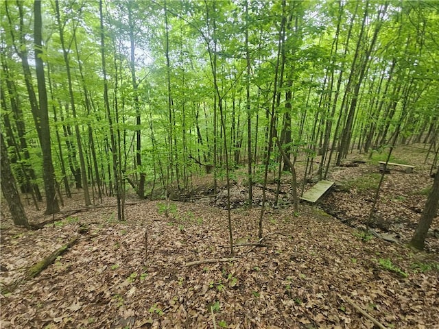 2049 State Route 245, Italy, NY 14512
