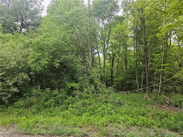 2049 State Route 245, Italy, NY 14512