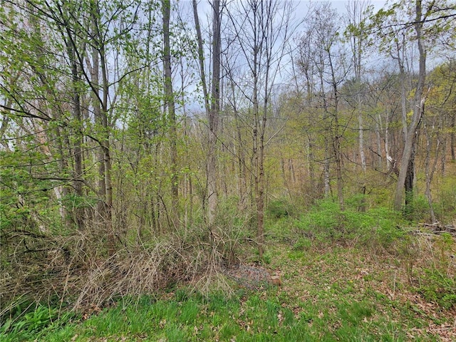 5123 Wixon Rd Unit 3, Campbell, NY 14870 - view of tree filled area