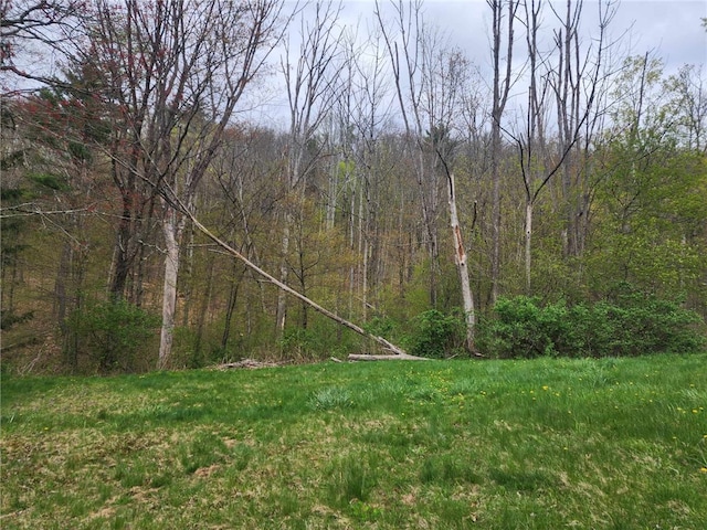 5123 Wixon Rd Unit 3, Campbell, NY 14870 - view of yard featuring a view of trees