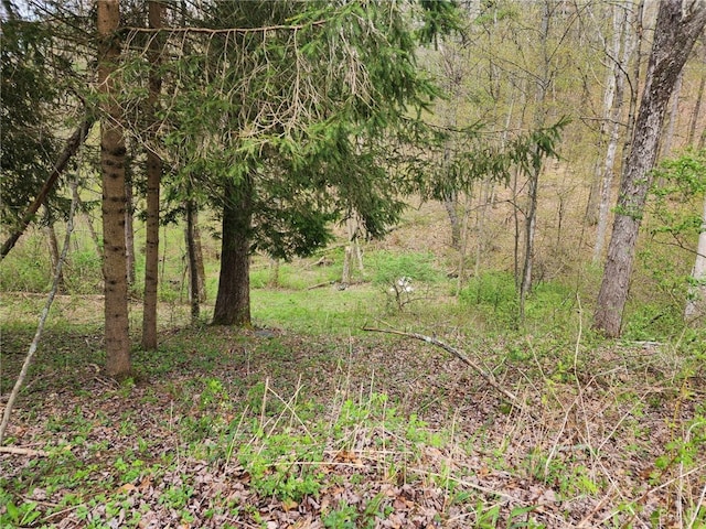 5123 Wixon Rd Unit 3, Campbell, NY 14870 - view of local wilderness