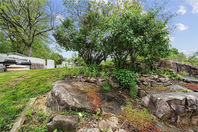 8 Washington St, Alexandria, NY 13607 - view of yard