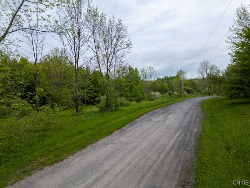 Cogar Dr, Schuyler, NY 13340 - photo 1