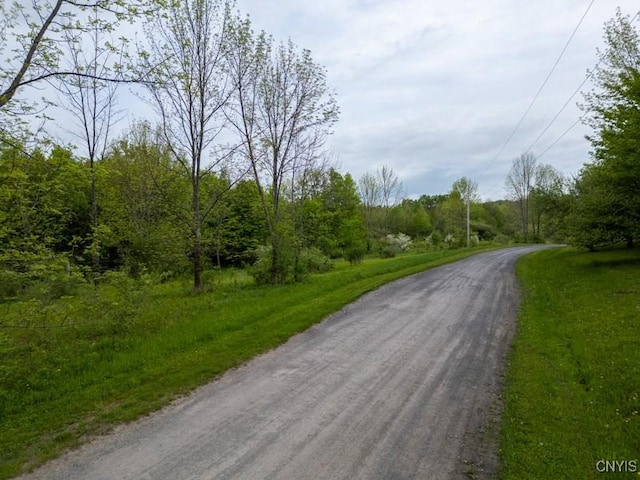 Cogar Dr, Schuyler, NY 13340