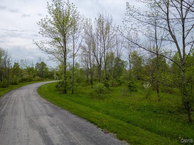Cogar Dr, Schuyler, NY 13340