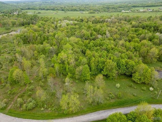 Cogar Dr, Schuyler, NY 13340