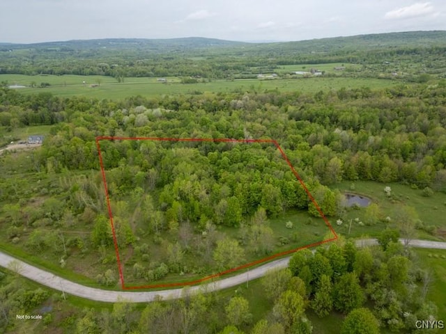 Cogar Dr, Schuyler, NY 13340
