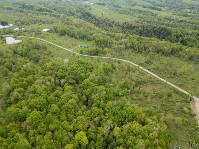 Cogar Dr, Schuyler, NY 13340