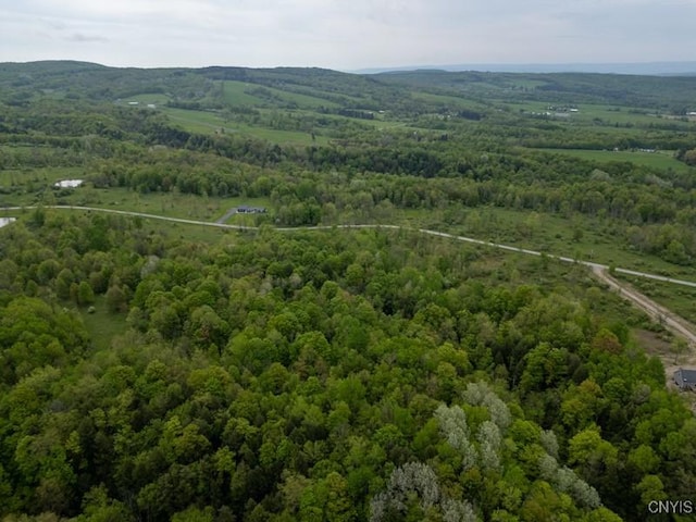 Cogar Dr, Schuyler, NY 13340