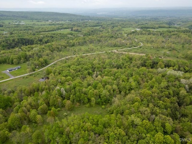 Cogar Dr, Schuyler, NY 13340