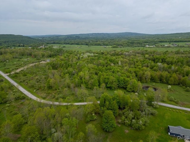 Cogar Dr, Schuyler, NY 13340