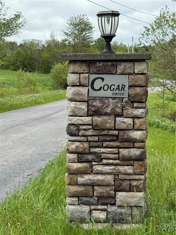 Cogar Dr, Schuyler, NY 13340