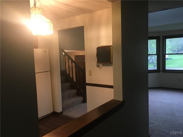 7653 Windsor Dr N, Clay, NY 13212 - stairs with carpet