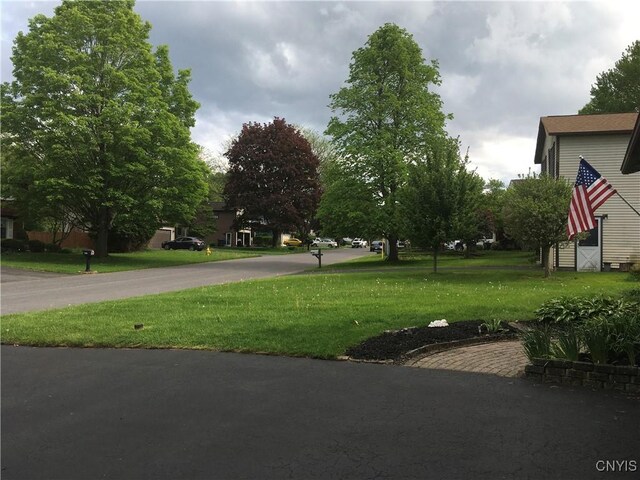 7653 Windsor Dr N, Clay, NY 13212 - view of grassy yard