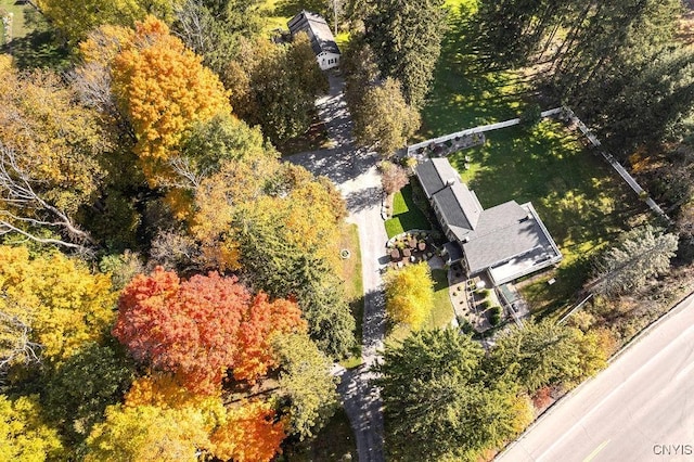 3721 Cold Springs Rd, Lysander, NY 13027 - view from above of property