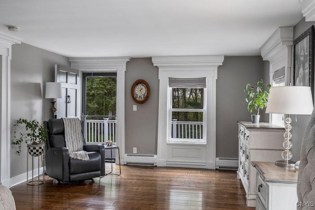 3721 Cold Springs Rd, Lysander, NY 13027 - living area with a baseboard radiator, dark wood-style flooring, and baseboards