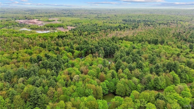 aerial view of property's location with a forest and a nearby body of water