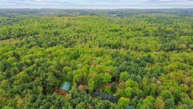 aerial view of a forest