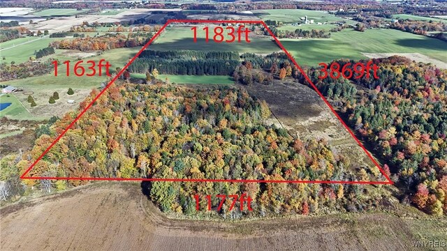 5195 Genesee Rd, North Collins, NY 14141 - view of property location with property boundaries highlighted and a forest