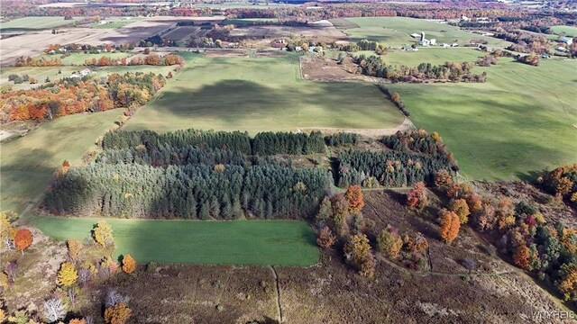 5195 Genesee Rd, North Collins, NY 14141 - view of property location