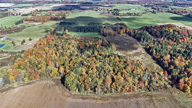 5195 Genesee Rd, North Collins, NY 14141 - aerial view of property's location with a forest