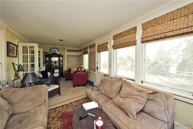 5195 Genesee Rd, North Collins, NY 14141 - sunroom with crown molding and french doors