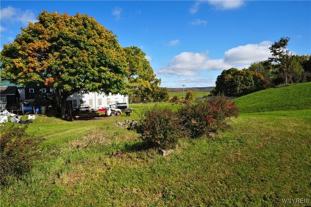 5195 Genesee Rd, North Collins, NY 14141 - view of green lawn