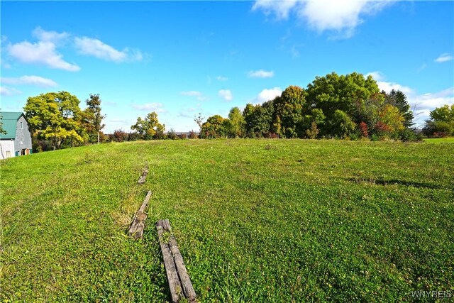 5195 Genesee Rd, North Collins, NY 14141 - view of green lawn