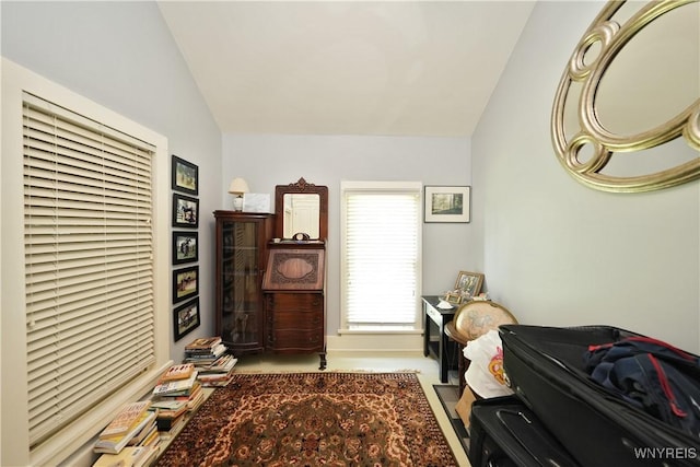 5195 Genesee Rd, North Collins, NY 14141 - carpeted bedroom with vaulted ceiling