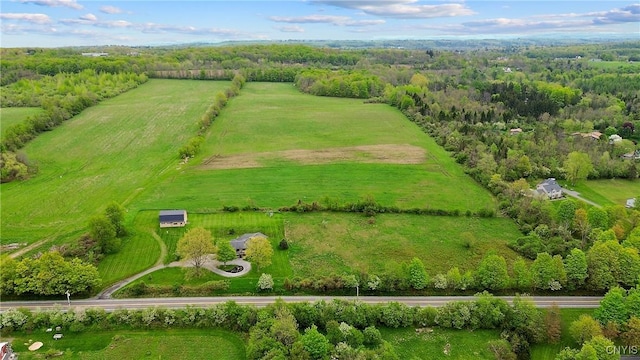 4366 Palmer Rd, Pompey, NY 13104 - photo 47