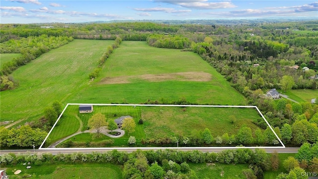 4366 Palmer Rd, Pompey, NY 13104 - photo 48