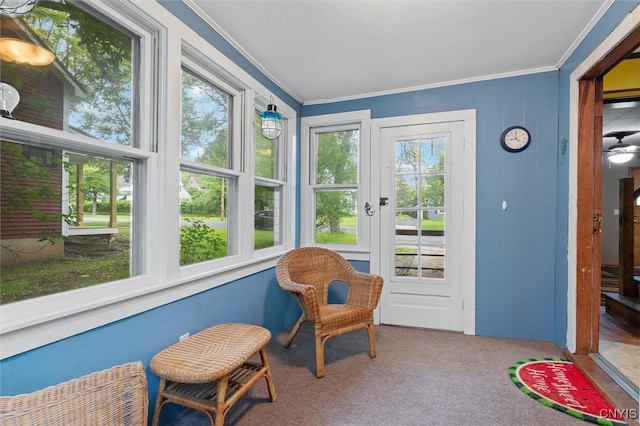 sunroom / solarium featuring ornamental molding and carpet flooring