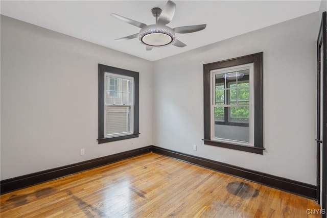 944 Bellevue Ave, Syracuse, NY 13204 - spare room with wood-type flooring, baseboards, and a ceiling fan