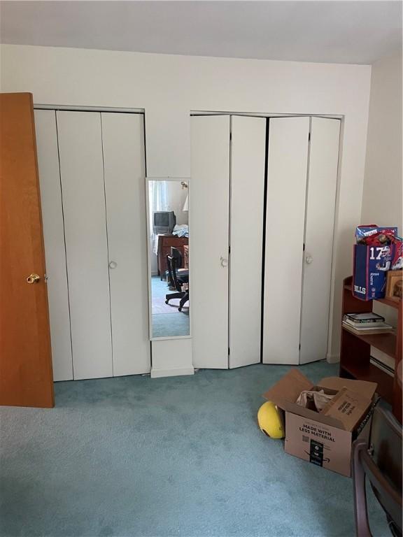 6088 Brockport Spencerport Rd Unit 2, Sweden, NY 14420 - carpeted bedroom with multiple closets