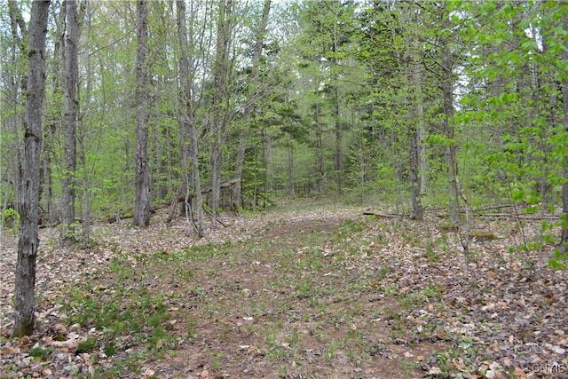 351 Reese Rd, Ohio, NY 13324