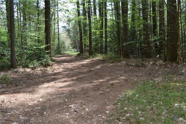 351 Reese Rd, Ohio, NY 13324