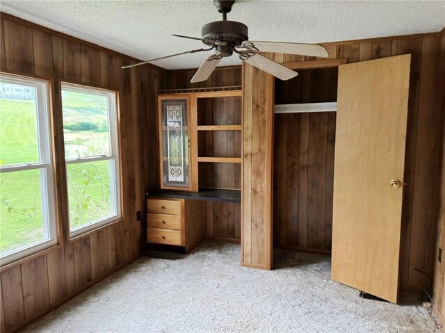 178 Dunshee Rd, Sidney, NY 13849 - unfurnished bedroom with wood walls, multiple windows, a textured ceiling, and light carpet