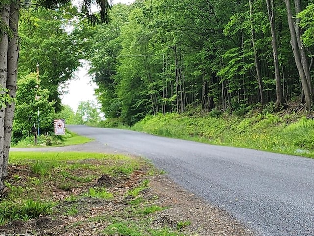 178 Dunshee Rd, Sidney, NY 13849 - view of asphalt street