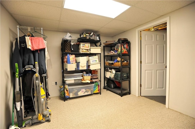 90 Davenport Rd, Big Flats, NY 14814 - view of storage room