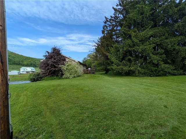 1405 W Main St, Smethport-Borough, PA 16749 - view of green lawn